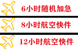 龙嘉机场空运快递公司,专业空运当天件